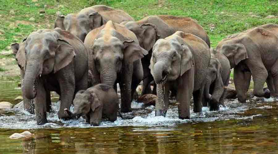 Anakkulam Jeep Safari