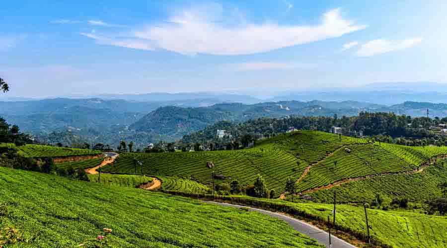 Ponmudi Jeep Safari